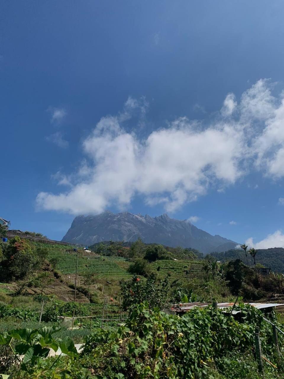 Kimin's Kinabalu Retreat Kundasang